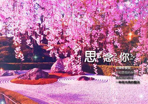 扎西白玛桑吉绛秋结局 佛诵余生护格桑小说最新章节列表