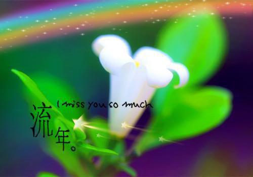 苏寒熙的小说叫什么 祁行云苏寒熙男主苏寒熙小说