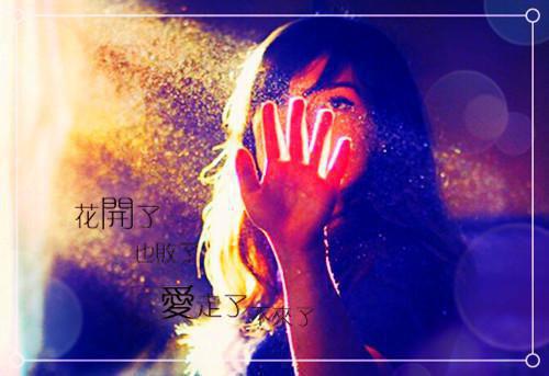 南意陆晏枭宋知初最新章节更新 情如覆水，散尽难收免费阅读南意陆晏枭宋知初小说