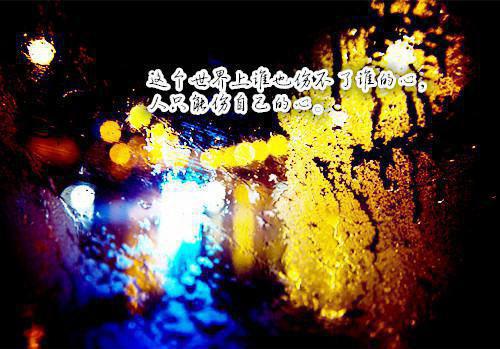 温萤言泽修小说番外(风起西窗人不归)（温萤言泽修）全网首发电子书阅读清爽版