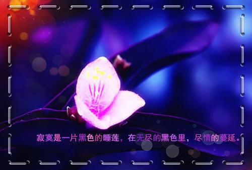 姜桃萧衍叫什么小说 炮灰饶命：阴郁皇帝竟是狼王电子书