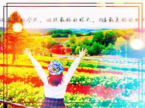 陆时砚许秋意免费阅读最新章节 女友为落榜竹马复读，我独自上985男主陆时砚许秋意小说