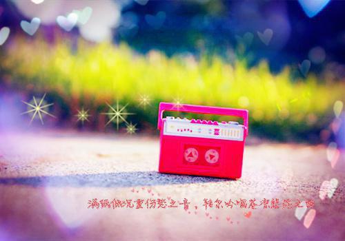 萧婵是哪部小说 公主才华冠天下，男人哪有登基香！萧婵小说