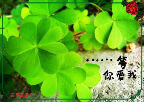 江延沈倩萧柏小说叫什么名字 重生后，不再资助清高校花小说全文阅读