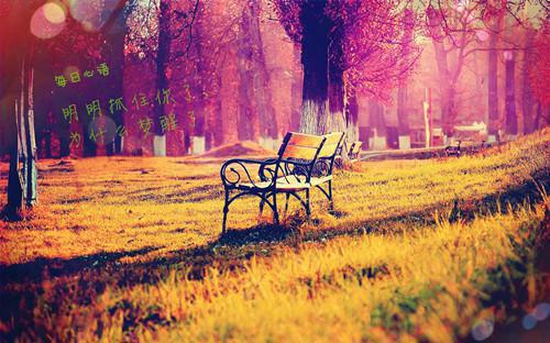 (番外)(全文)谢尽长安花新鲜出炉免费下载阅读_(沈照霜宁砚 难生恨)_谢尽长安花新鲜出炉番外篇最新章节列表_笔趣阁（谢尽长安花新鲜出炉结局 番外篇）