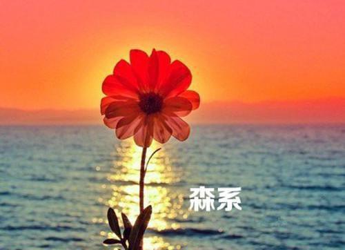 林若婵宋临川笔趣阁免费阅读 他给的爱如奶油般化开原著在线阅读