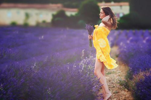 舒书裴修赫舒予白虞婉免费阅读最新章节结局 予你一封修书:番外免费阅读