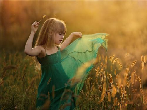 陈月明陆继安沈清清小说免费阅读 爱在迷途不知返男主陈月明陆继安沈清清小说