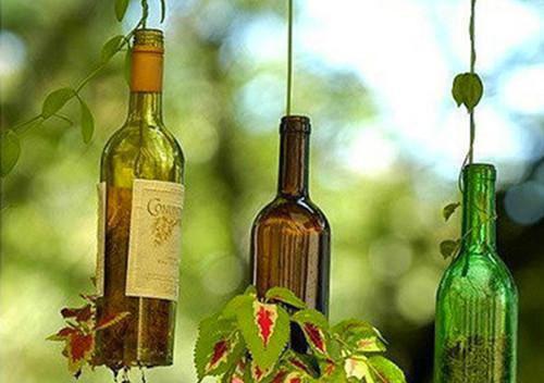 宁湘云商野顾安最新章节更新 谁愿与你重蹈覆辙:后续免费阅读小说