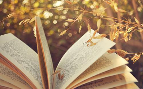 霜儿雪姑娘宋止结局 且以情深寄霜雪笔趣阁