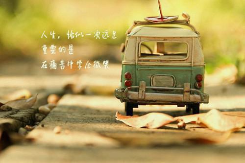 时夏叶皎月和谁在一起了 小知青要回城，开局先抢金手指!小说时夏叶皎月