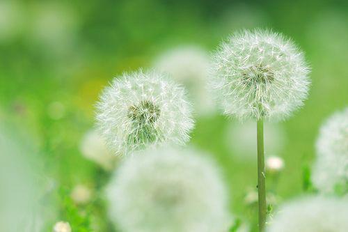 祁年林婉韩雨阳结局 她来时莫失莫忘免费阅读小说