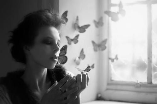 凌霜秦砚洲夏若浅的最新章节更新时间 雾里探星见你：后续免费阅读