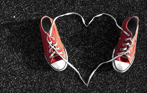 张妙安小说在线阅读 博物馆救猫后,我被全网追凶免费阅读小说