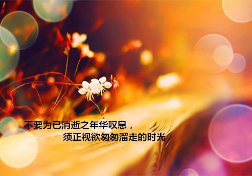 苏清妍周执野叫什么小说 苏清妍周执野苏清妍周执野大结局