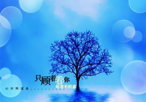 许楠枝宋时烨小说名字 曾许你岁岁长安(二)最新章节免费阅读