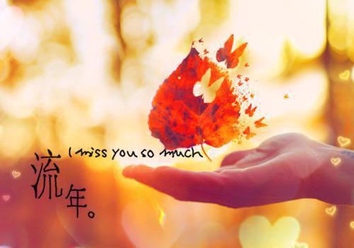 唐如意薛绍免费阅读最新章节结局 哥哥重生后故意将我丢进乱葬岗，我被暴君养成公主全文阅读