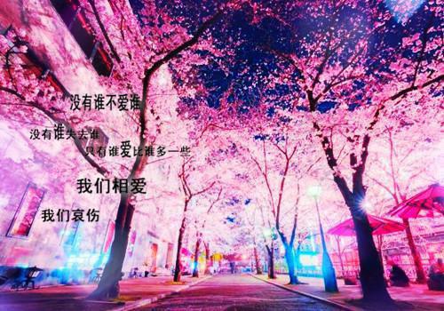周文彬谢珍珍免费阅读 重生后，打脸偷换我孩子的渣男丈夫免费阅读小说