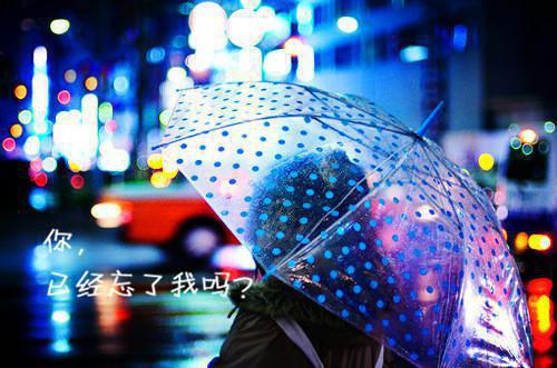 沈听澜裴律最新章节更新时间 雾里逢你by青衫客