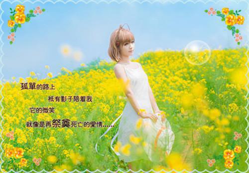 江宁笙傅言安崔疏影小说免费阅读 余生陌路两不相欠知乎小说