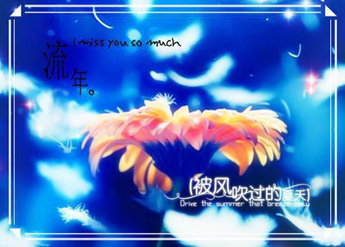 司夜寒季瑶的小说叫什么 风停后无人归：番外原著在线阅读