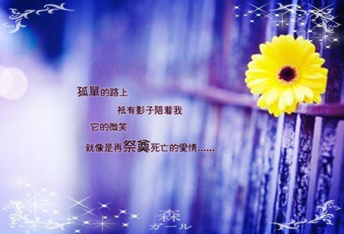 林云陆瑶瑶小说叫什么名字 全公司听见傻白甜人设实习生的心声免费阅读小说