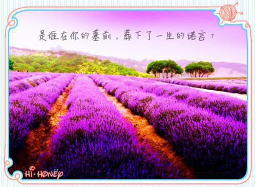 陆荷如吴绍博最新章节更新状态 陆荷如吴绍博（佚名）免费阅读