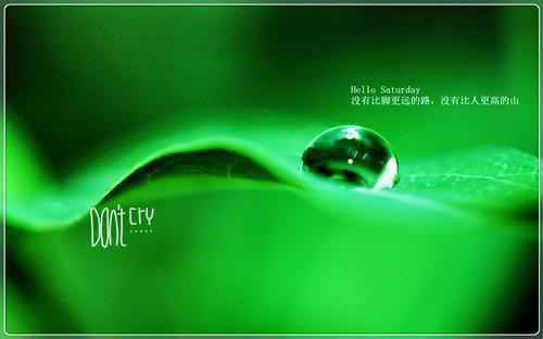 全本沈婷晚顾时夜伤痕之下又添伤痕结局全文免费阅读无弹窗大结局_沈婷晚顾时夜最新章节列表_笔趣阁伤痕之下又添伤痕结局