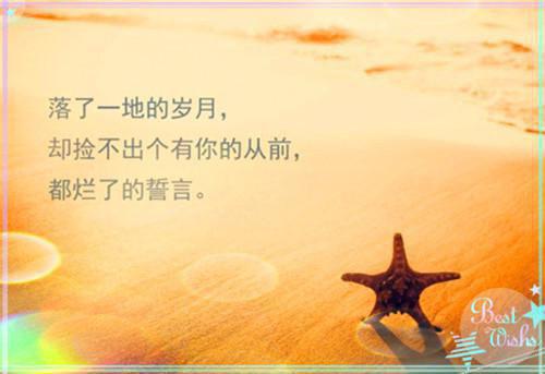 沈晓晓林薇大结局后续 和闺蜜死遁后，大佬们都疯了小说沈晓晓林薇免费阅读