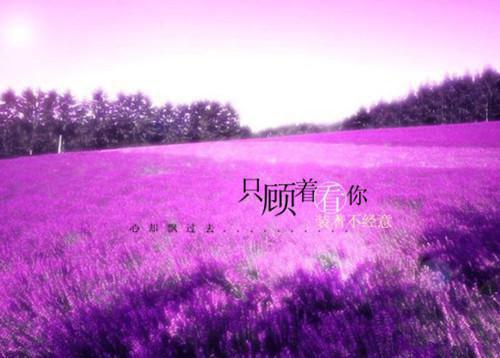 赵宝小说在线阅读 重生之我妈是恋爱脑,把我当情敌小说正版阅读