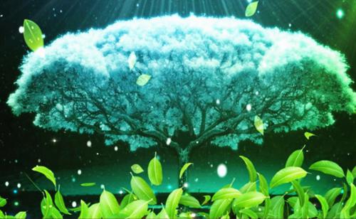 夏若裴屿寒最新章节更新 爱意离去，再无回响小说正版阅读