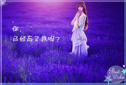 林夏季川小说免费阅读最新章节 和前任分手后：后续林夏季川小说