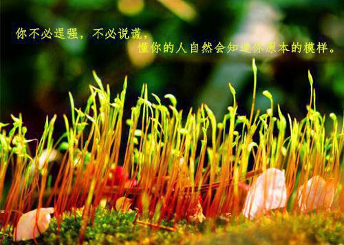 宋童童宋玉珍小说免费阅读 离婚后，妈妈说她是真千金在线阅读