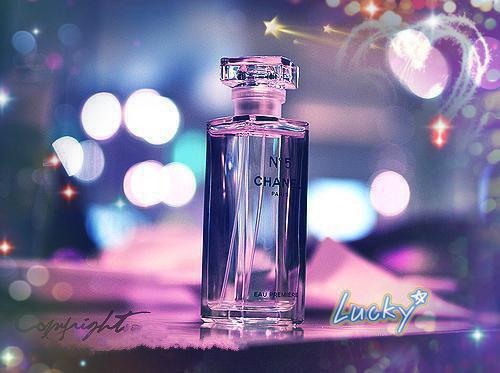 时薇江淮林楚楚小说名字 看到弹幕后我亲手撕了女配剧本小说时薇江淮林楚楚