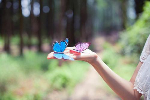 宋雅沈宴最新章节更新 听见我的猫在我耳边呓语后,我离婚了小说正版免费阅读