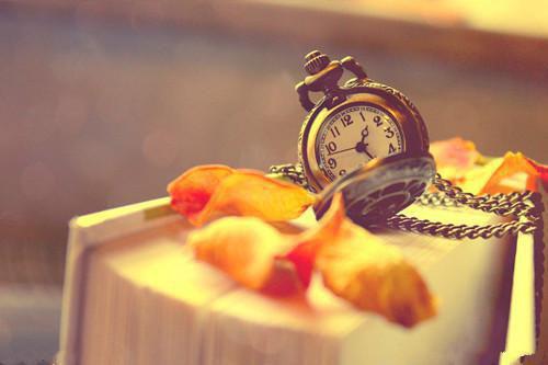 热门小说（褚啸峰秦婉宁）全文免费阅读无弹窗大结局_（给他一场寂静的雪崩：+后续+结局阅读无弹窗）给他一场寂静的雪崩：+后续+结局最新章节列表_笔趣阁（褚啸峰秦婉宁）