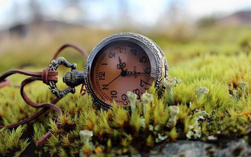 许麟肆霍暖绵宋铭轩小说 配角翻身笔趣阁最新章节