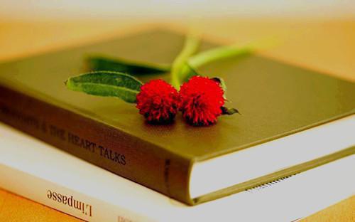 我简月溪陈羽秦彦的小说叫什么 穿越到爸妈婚礼，我阻止妈妈嫁给爸爸全文最新更新内容