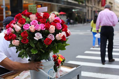 许昭意顾临川最新章节更新状态 曾照孤心一片雪免费阅读小说