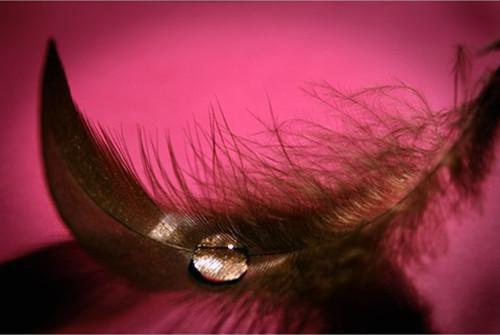 黎昭笔趣阁免费阅读 陪闺蜜捉奸我却成了小三全文免费阅读