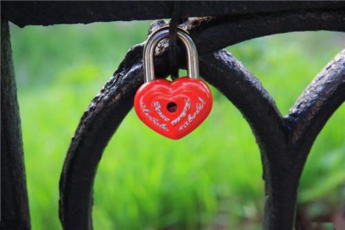 顾穗宁免费阅读最新章节结局 玉满岁宁顾穗宁全文