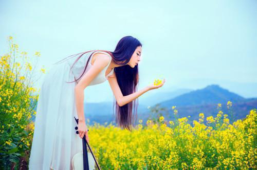 苏清雨裴沐风谢临风林蓁蓁最新章节更新状态 过雨云烟by佚名
