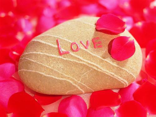 王晓萌唐悠张凡凡南湘免费阅读最新章节 消失的室友：后续电子书