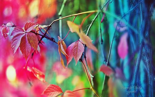 我断了气运，全家跪着求我别走陆承宇陆知微免费小说笔趣阁_我断了气运，全家跪着求我别走陆承宇陆知微完结小说免费阅读