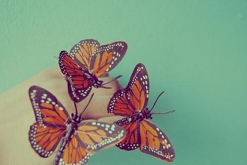 陈旭孟瑶免费阅读最新章节结局 智能门锁泄露了老婆的奸情电子书