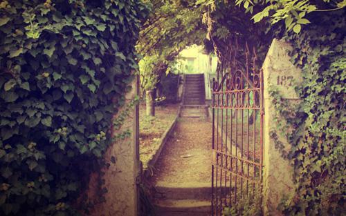 秦月秦岚最新章节列表 一脚踹下cos晴天娃娃的假千金,我警告她屋内不许荡秋千小说