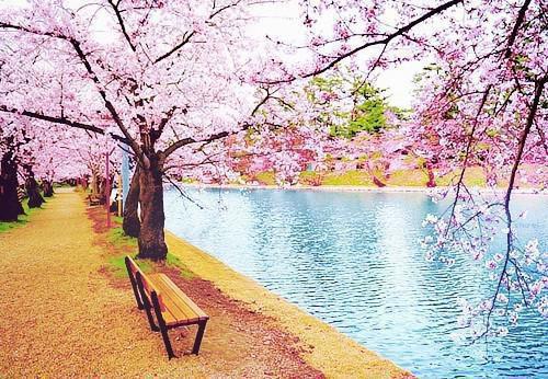 宋婉意霍知言陆潇潇小说名字 女主抢我男朋友,我看到了弹幕免费阅读宋婉意霍知言陆潇潇小说