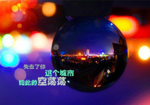 沈清秋陆景行江月最新章节内容 爱有时差未删减小说