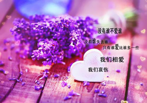 江荞许肆川苏念周聿免费阅读 隐婚三年：绝症日她烧了婚戒知乎江荞许肆川苏念周聿