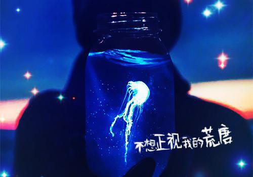 我陈元叶嘉是哪部小说的主角 《从今以后无爱也无恨》全文无弹窗
